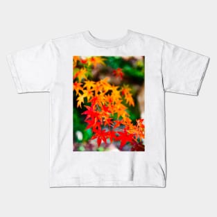 Photography - Japanese fall Kids T-Shirt